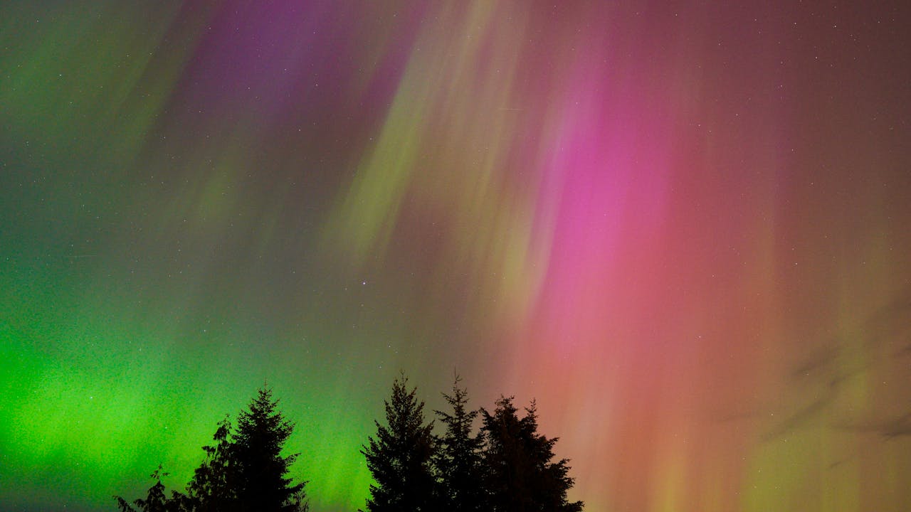 Vibrant northern lights display with multicolored auroras above silhouetted trees.